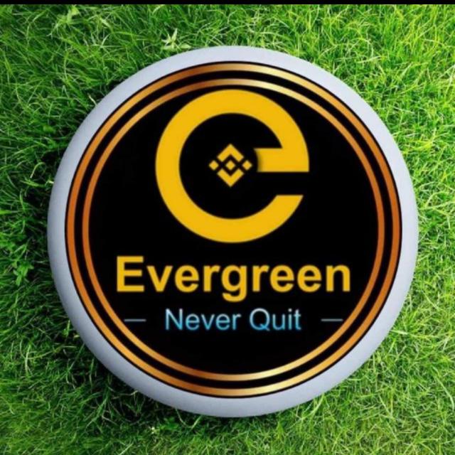 Evergreen would BNB online business in Pakistan ?????