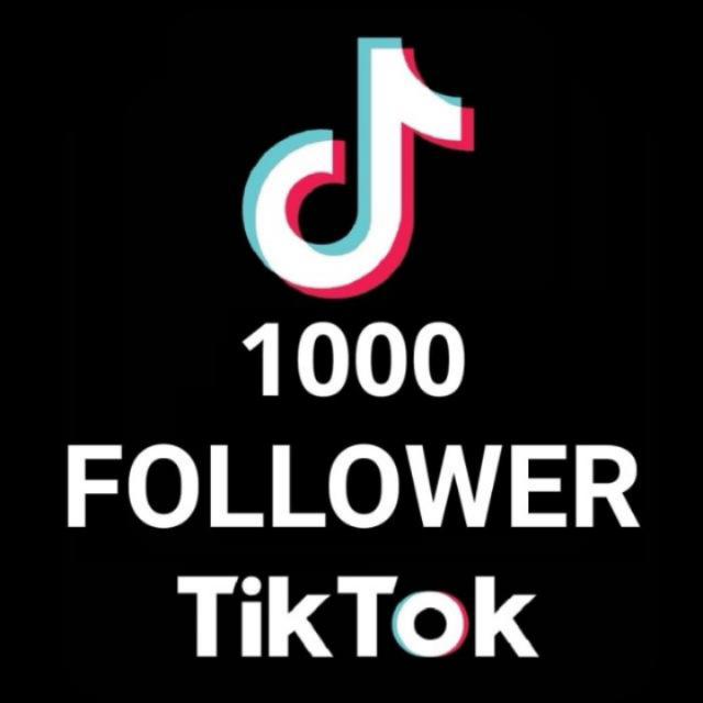 TikTok Real Followers ?