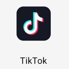 TikTok seller