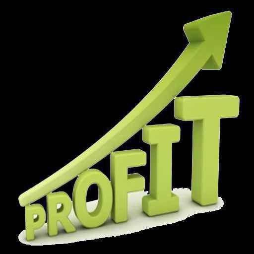 PROFIT TRADING COMPANY